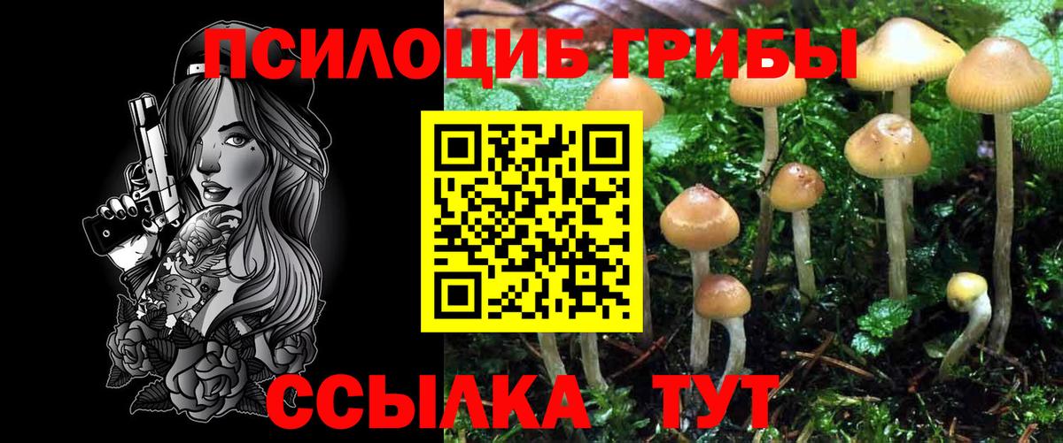 Псилоцибиновые грибы Magic Shrooms  Галлюциногенные грибы MAGIC MUSHROOMS  Вход с VPN  Калач-на-Дону 